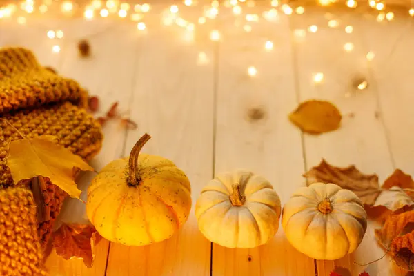 Şenlikli ve ılık bir sonbahar dairesi, altında sarı ve iki beyaz balkabağı desenli bir sıra yatıyordu..