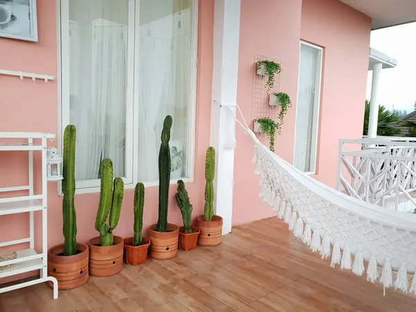 Stock image Peruvian apple cactus (Cereus peruvianus) plants at terrace balcony with pink wall and wooden floor. Porch decor with hammock and kitchen trolley. Columnar, column, hedge cactus, or kaktus koboi.