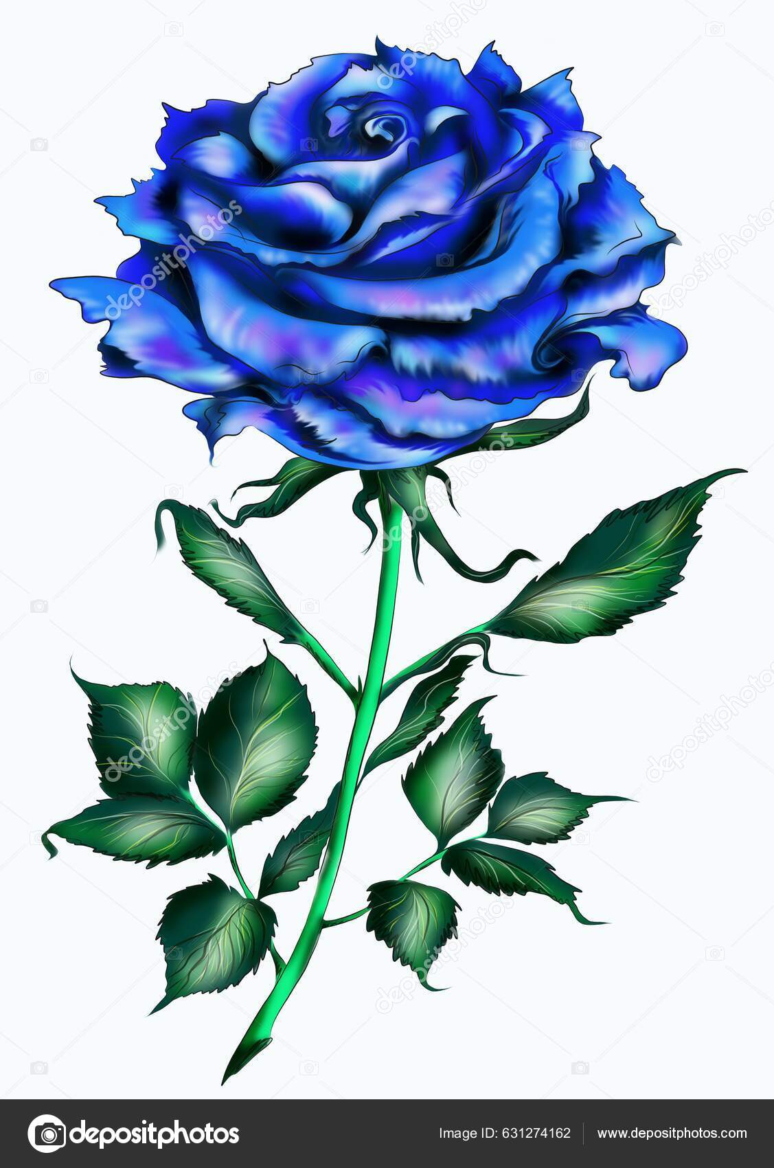 Blue Rose Flower Picture