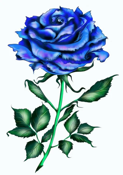 The rose is blue. Rose of love. computer painting