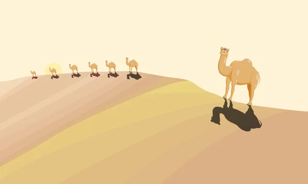 Рисование Пустыни Время Заката Ряда Мультяшных Верблюдов Идущих Холму Вектор — стоковый вектор