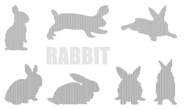 Farklı pozlarda tavşanlar, farklı açılardan tavşanlar. Grafik stili minimalist vuruşlar. Vektör illüstrasyonu