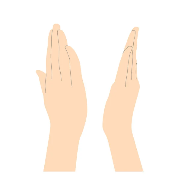 折り畳まれた指ベージュの後ろに2本の人間の手の手のひらは 白い背景に隔離された形ミニマリズム ベクトルを強調する線で ベクターイラスト — ストックベクタ