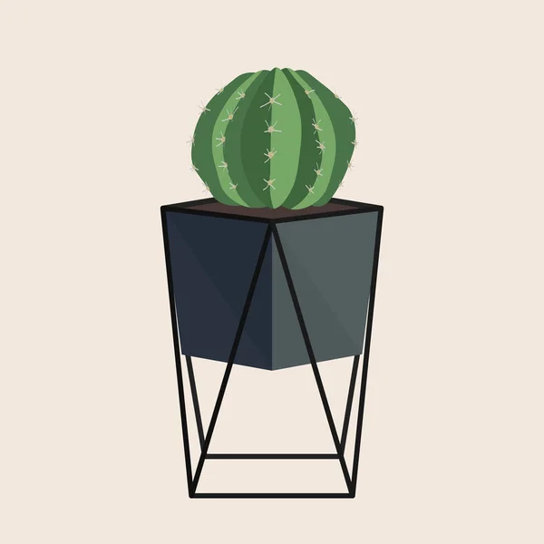 Sebuah Kaktus Bulat Dalam Panci Dan Kerangka Logam Bentuk Geometris - Stok Vektor