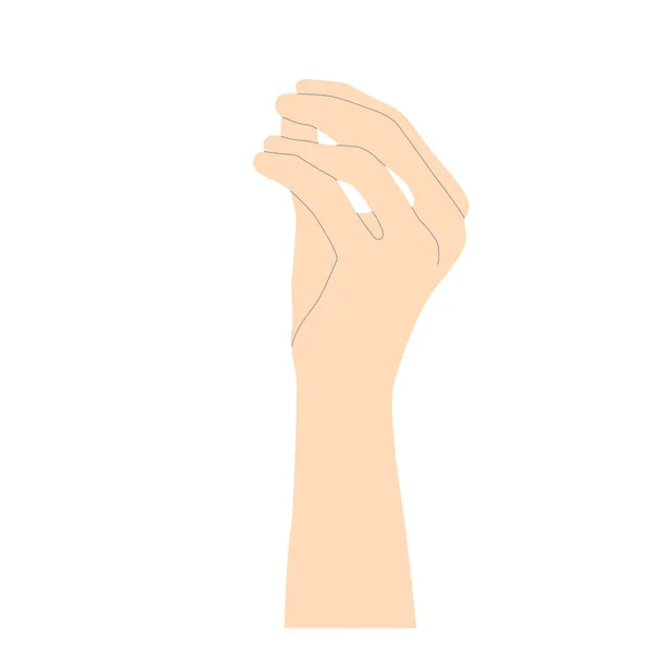 薄いベージュのミニマルなスタイルの優しい女性の手は 白い背景に隔離されたベクトル 親指に4本の指を折り畳んだ何かを保持するかのように図形を描くための行を持つ ベクターイラスト — ストックベクタ