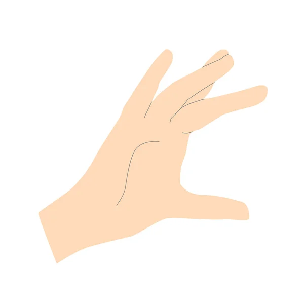 ライトベージュのミニマルなスタイルで優しい女性の手は 図形を描くためのライン 手は白の背景に隔離されたインデックスの指と親指で何かを保持します ベクターイラスト — ストックベクタ