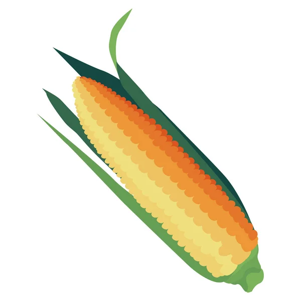 Minőségi Minimalista Illusztráció Lejtős Kukoricacsutka Zöld Levelekkel Élelmiszer Mezőgazdaság Formatervezés — Stock Vector