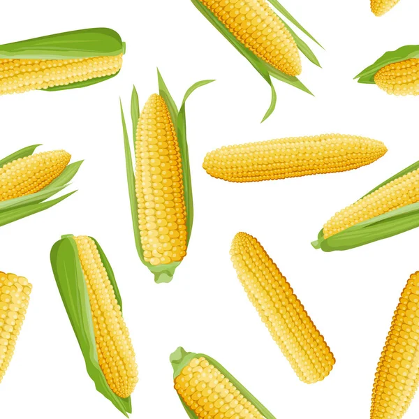 Fényes Szaftos Illusztráció Egy Zöld Levelű Kukoricacsutkáról Keresztmetszetéről Élelmiszer Mezőgazdaság — Stock Vector