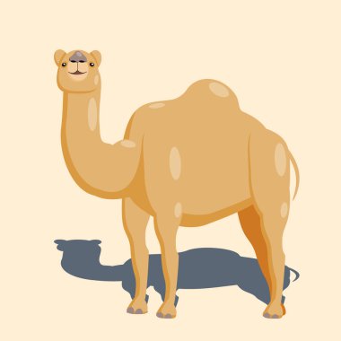 Çölde gölgeli minimalist bej rengi bir deve çizgi filmi karakteri. İzole vektör çizimi. Vektör illüstrasyonu