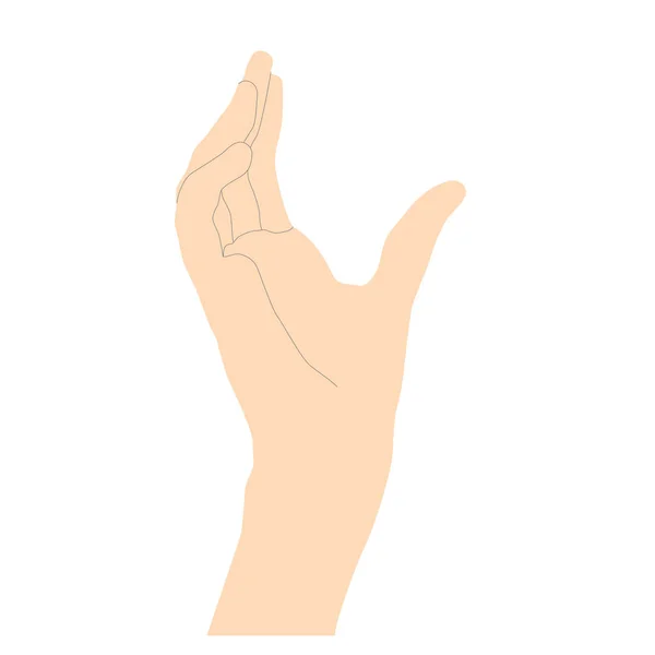 Απαλό Γυναικείο Χέρι Ανοιχτό Μπεζ Μινιμαλιστικό Στυλ Γραμμές Για Περιγράψει — Διανυσματικό Αρχείο