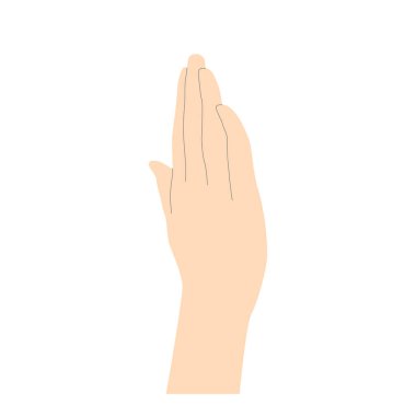 Avuç içinin arkasından katlanmış parmakları olan insan eli, beyaz arkaplanda izole edilmiş minimalist vektörü vurgulamak için çizgileri olan bej rengi. Vektör illüstrasyonu