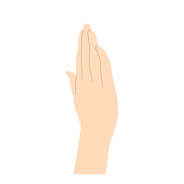Human Hand Back Palm Folded Fingers Beige Lines Emphasize Shape — Stock Vector