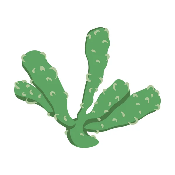 Der Kaktus Ist Eine Zarte Grüne Flache Form Mit Dornen — Stockvektor