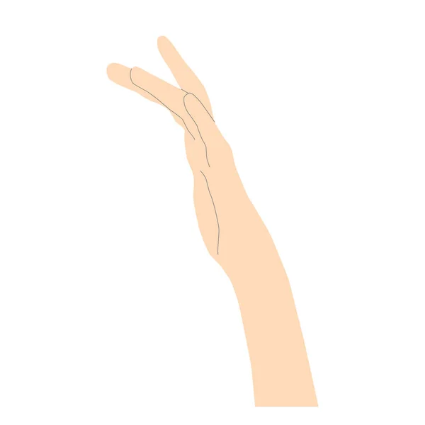 Sanfte Weibliche Hand Hellbeige Minimalistischem Stil Mit Linien Zum Skizzieren — Stockvektor