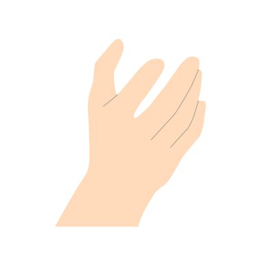 Gentle female hand in light beige minimalistic style with lines to outline shapes, hand as if holding something, vector isolated on white background. Vector illustration