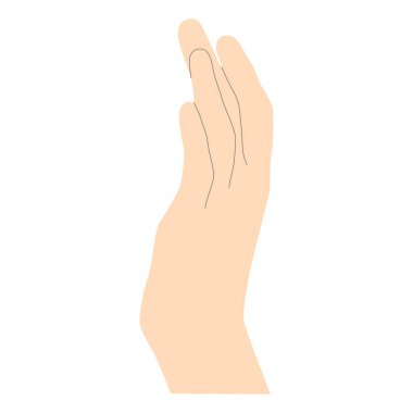 Gentle female hand in light beige minimalistic style with lines for tracing shapes, hand side view four fingers visible, vector isolated on white background. Vector illustration