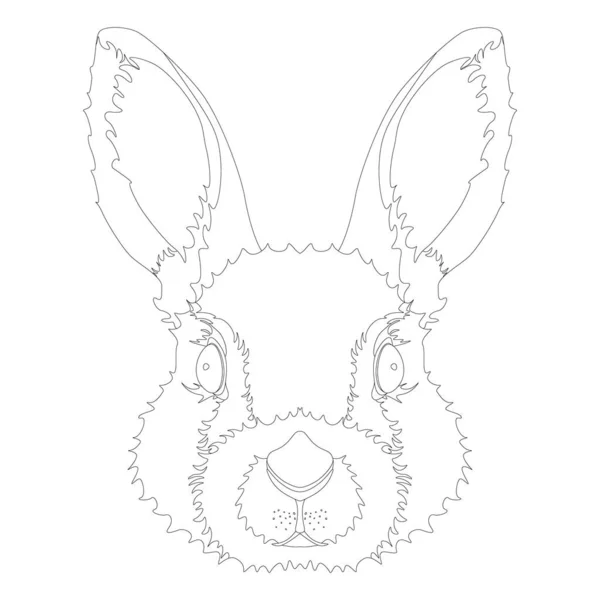 長大な耳を持つウサギの頭の線画 子供や大人のためのぬり絵 ベクターイラスト — ストックベクタ