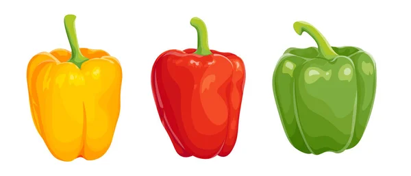 Tre Färgade Paprika Saftig Frisk Grönsak Med Svans Illustration Isolerad — Stock vektor