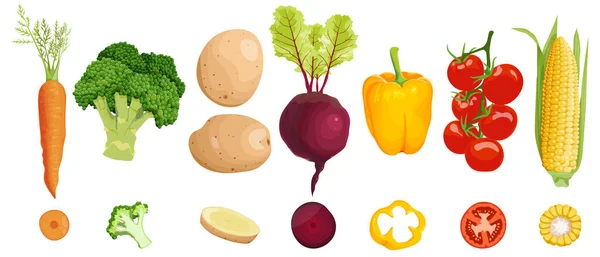Conjunto Siete Verduras Saludables Vista Lateral Sección Transversal Zanahorias Brócoli — Vector de stock