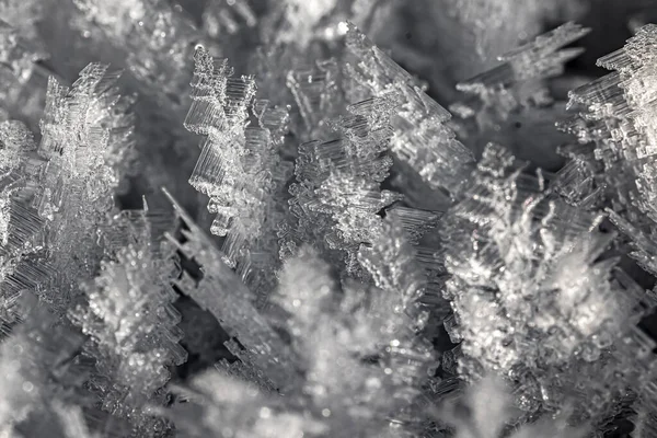 Image Filling Macro Shot Fascinating Ice Crystals — Stock Photo, Image