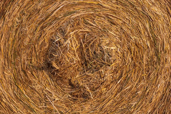 stock image image filling close up of straw roll as texture, background