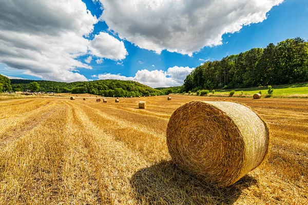 Wide Angle Shot Stubble Field Many Straw Rolls Blue Cloudy — Stock Photo, Image