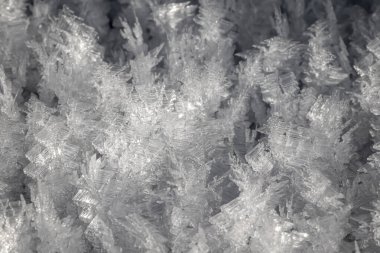 Şiddetli don sırasında buz çiçeklerinin makro fotoğrafları