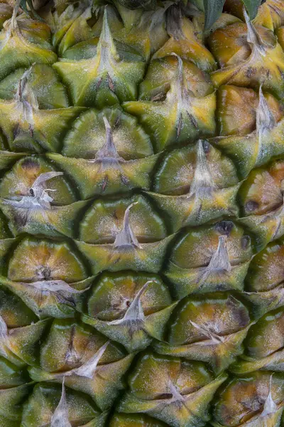 Zbliżenie Struktury Zewnętrznej Powłoki Ananasa — Zdjęcie stockowe