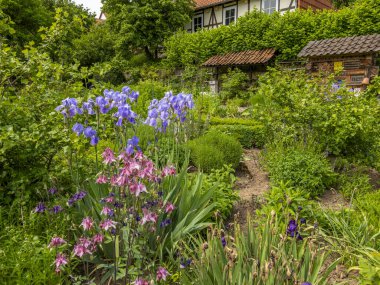 Ebergtzen Almanya 'sında Wilhelm Busch' taki büyük böcekli değirmen bahçesi.