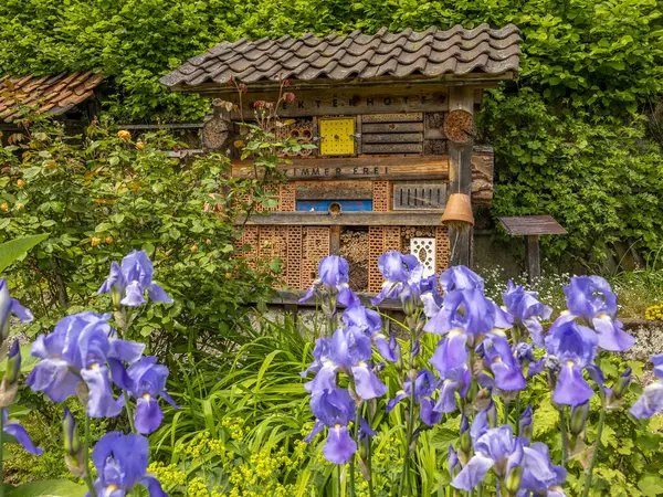 large insect hotel, free standing in the garden. With blue bell flowers in the foreground