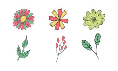 Farklı tip simge seti çiçekleri. Güzel çiçek vektör tasarımı illüstrasyonu
