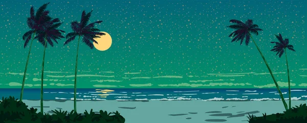 Nacht Meerblick Auf Die Küste Mond Strand Palmen Sternenhimmel Horizont — Stockvektor