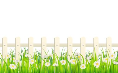 Bahar yeşili çimenler, papatya çiçekleri, beyaz çitler. Arkaplan pankartı vektör illüstrasyonu