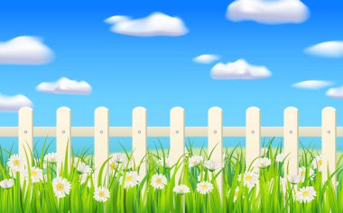 Bahar yeşili çimenler, papatya çiçekleri, beyaz çitler. Arkaplan pankartı vektör illüstrasyonu