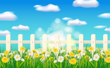 Peyzaj baharı yeşil çimenler, papatya, karahindiba çiçekleri, beyaz çitler, bulut. Arkaplan pankartı vektör illüstrasyonu