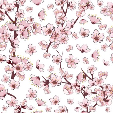 Kusursuz desenli bahar çiçekleri Sakura kirazını dallandırıyor. Beyaz yapraklar, çiçekler, yapraklar. Vektör illüstrasyon arkaplanı, kart izole
