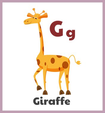 Zürafa harfi G İngilizce alfabe kartı çocuklar. Eğitim için hayvan bahçesi karakteri çizilmiş şirin bir el çizimi. Vektör çizimi izole edildi