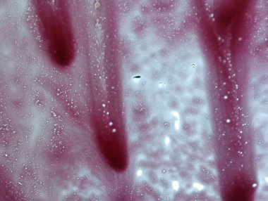 Su varyasyonu, köpük, ışık ve camdaki renkler.