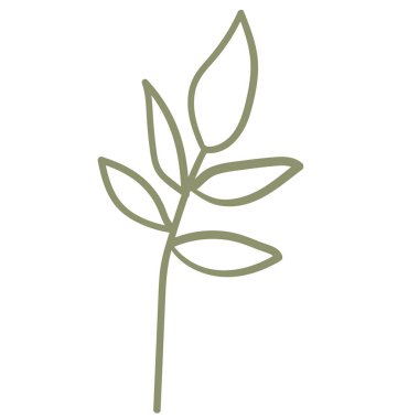 Beyaz arkaplanda doğal çiçek karalaması var.