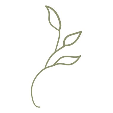 Beyaz arkaplanda doğal çiçek karalaması var.