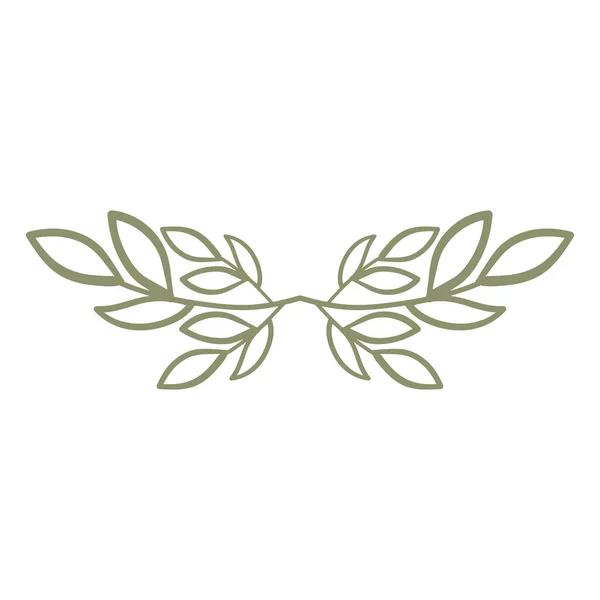 Scarabocchio Floreale Naturale Isolato Sfondo Bianco — Vettoriale Stock