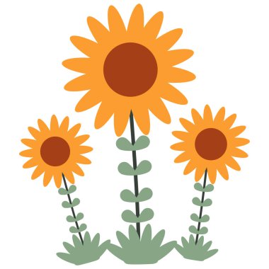 Beyaz arkaplanda çiçek yaprağı süsü var.