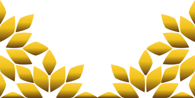 Altın çiçekli çerçeve tasarımı