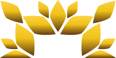 Altın çiçekli çerçeve tasarımı