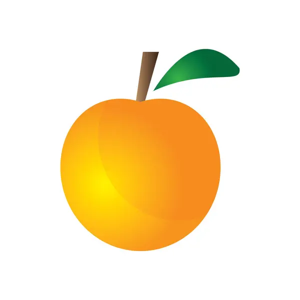新鲜的橙色剪贴画适用于水果广告和儿童模板向量Eps课 矢量图形