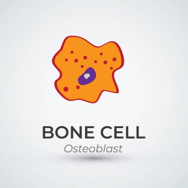 Bone Cell Osteoblast Logo Vector Illustration