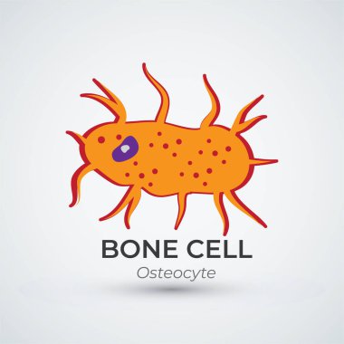 Bone Cell Osteocyte Logo Vector Illustration