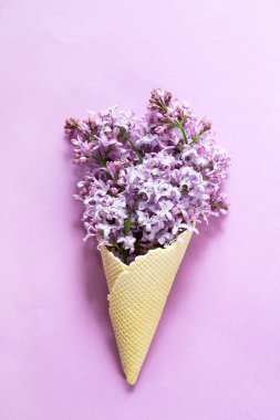 Pembe arka planda dondurma külahında leylak.