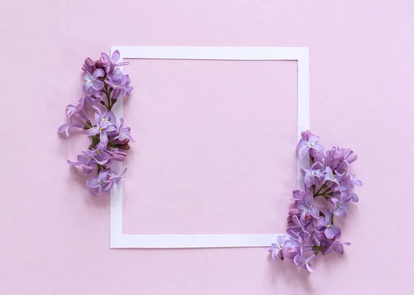 Composición Floral Con Marco Blanco — Foto de Stock