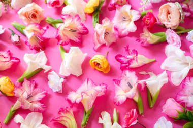 Pembe arka planda çiçek kompozisyonu